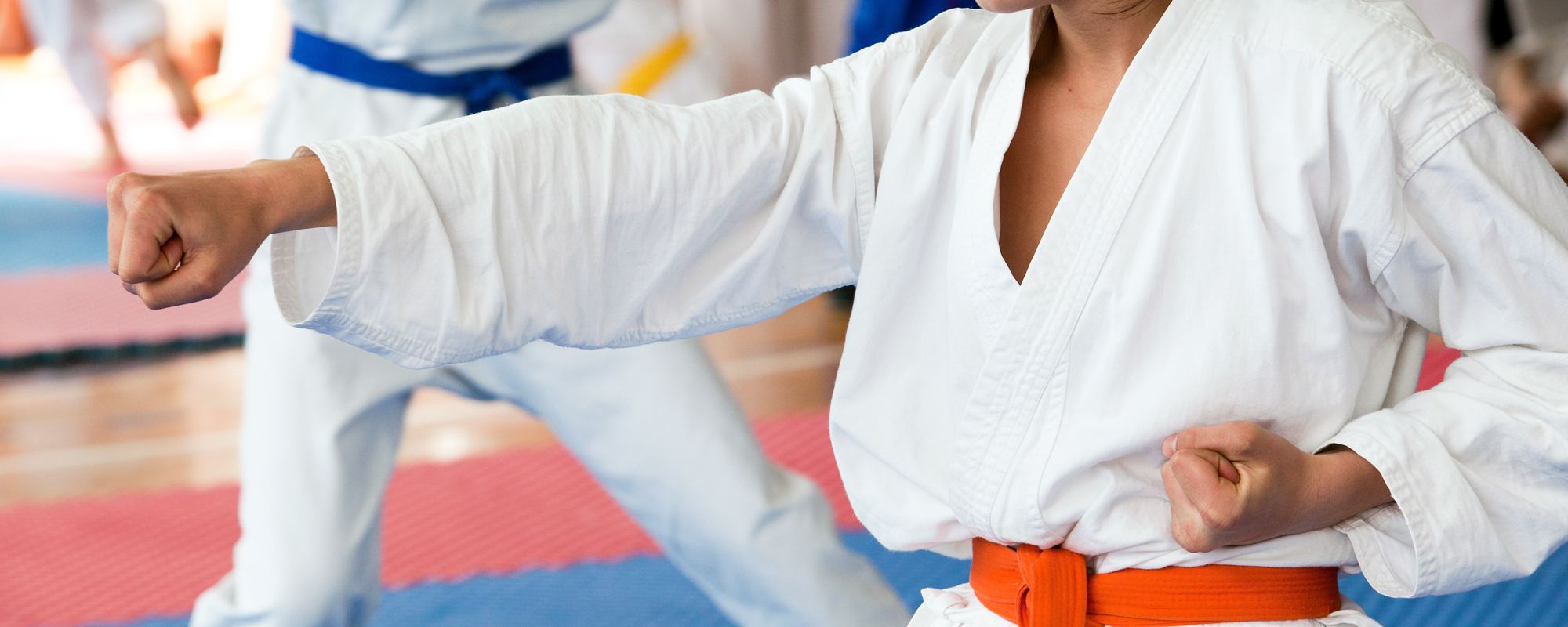 Teaching martial arts techniques in Kalamazoo, MI