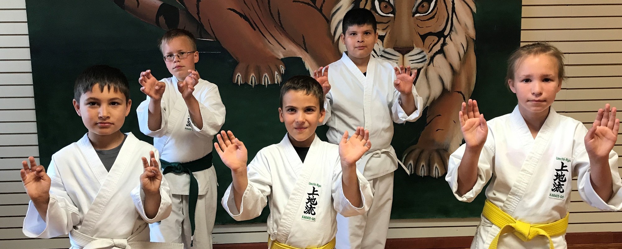 We teach Okinawan karate exercises in Kalamazoo, MI, to children and adults